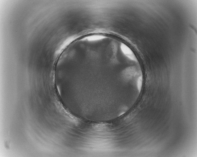 X0000101451367200808041009