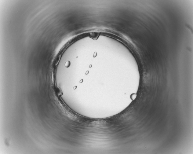 X0000101451368200808041009