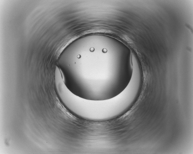 X0000101451369200808041009