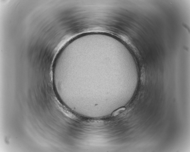 X0000101451372200808041009