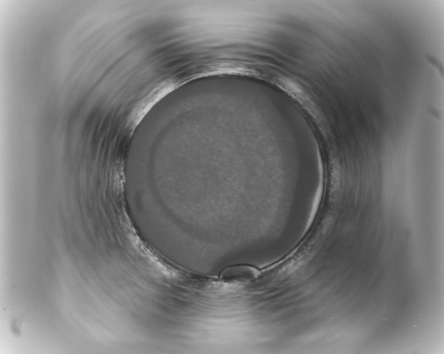 X0000101451377200808041009