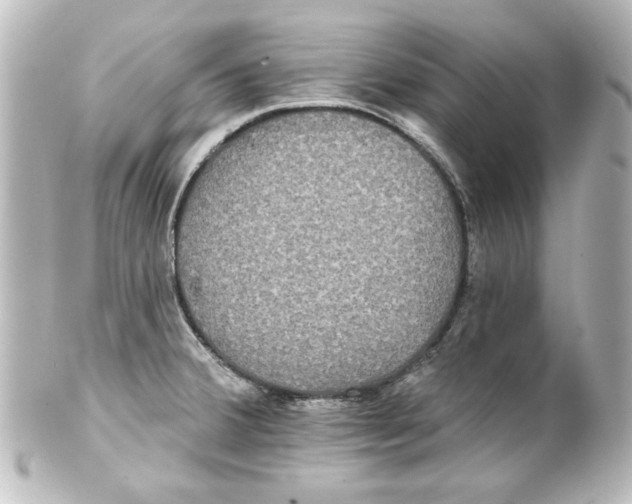 X0000101451380200808041009