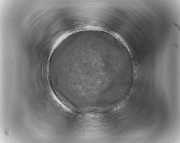 X0000101451381200808041009