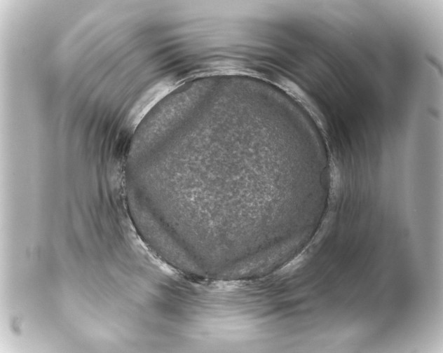 X0000101451385200808041008