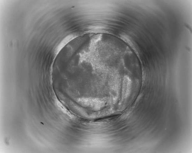 X0000101451386200808041008