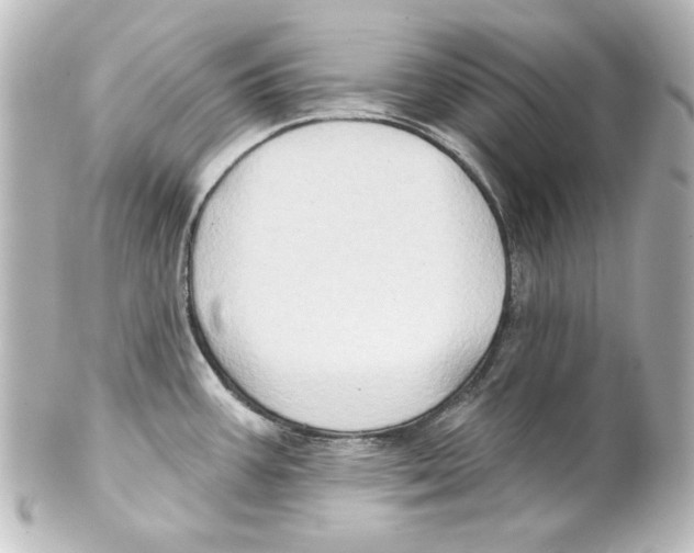 X0000101451387200808041008