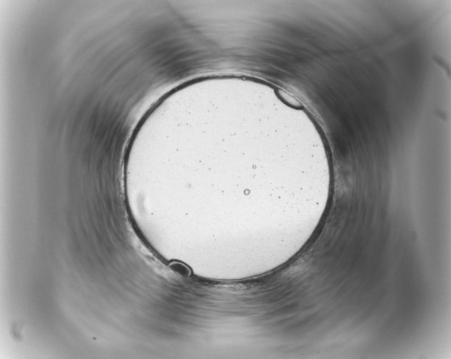 X0000101451388200808041008