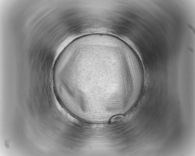 X0000101451389200808041008