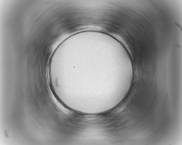 X0000101451391200808041008