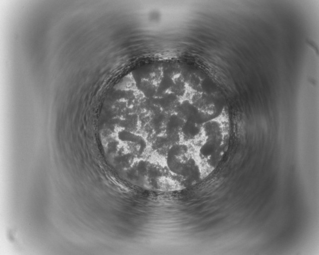 X0000101451393200808041008