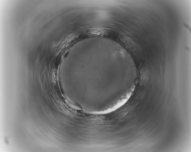 X0000101451394200808041008