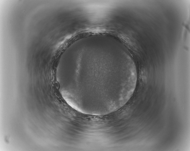 X0000101451398200808041008