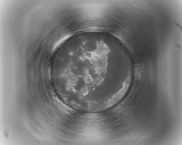 X0000101451402200808041008