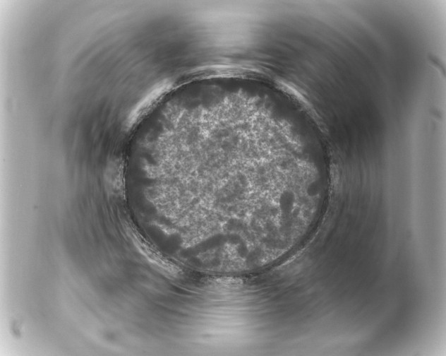 X0000101451403200808041008