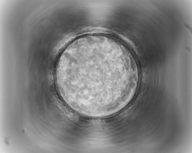 X0000101451407200808041008