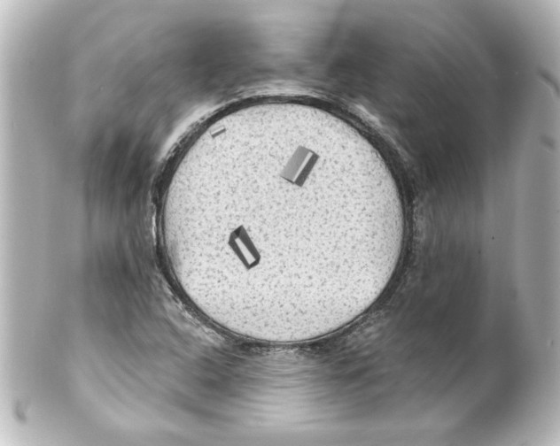 X0000101451408200808041008