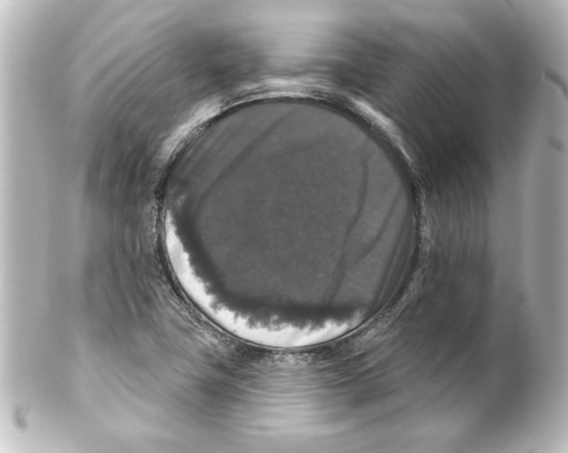 X0000101451411200808041008