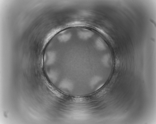 X0000101451413200808041008