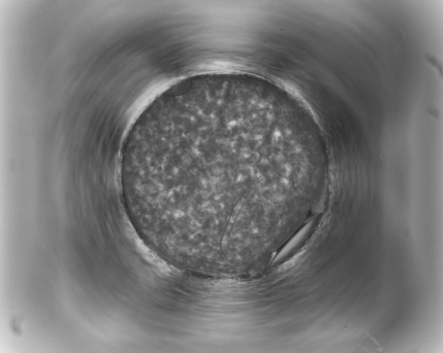 X0000101451421200808041008