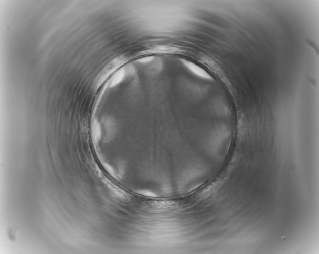 X0000101451425200808041008