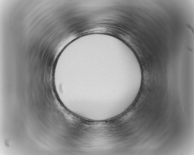 X0000101451426200808041008