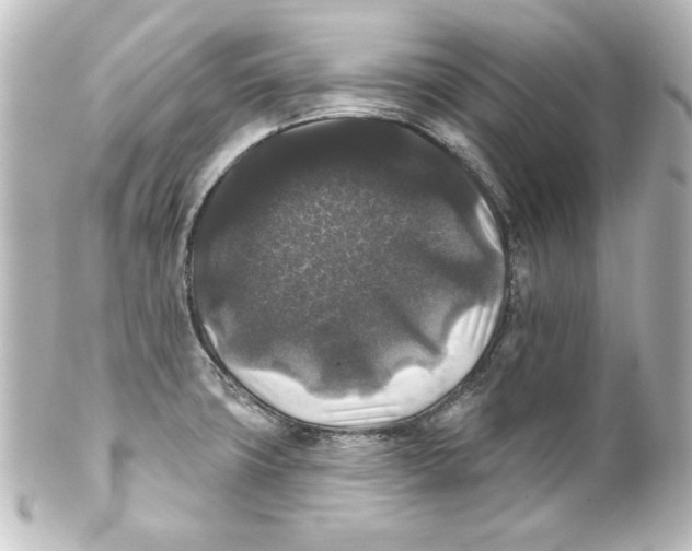 X0000101451427200808041008