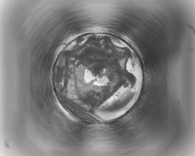 X0000101451429200808041008