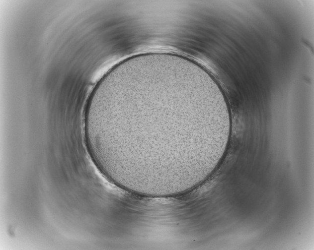 X0000101451430200808041008