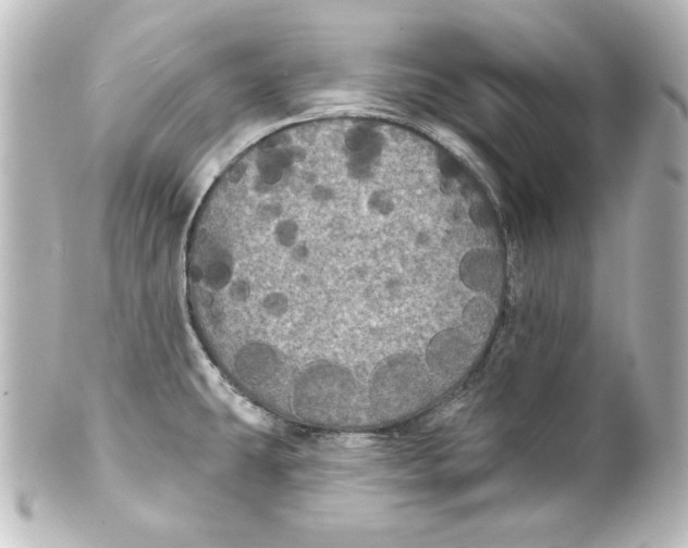 X0000101451431200808041008