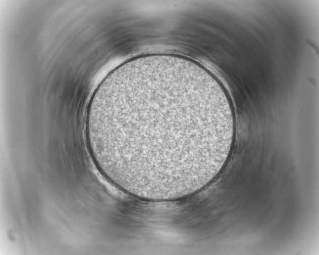 X0000101451437200808041008