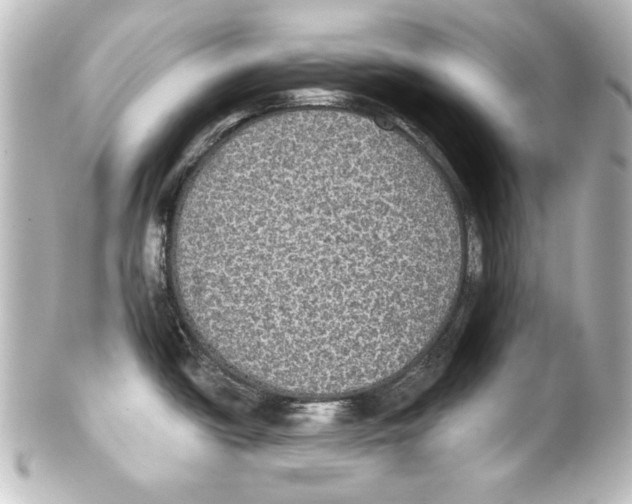 X0000101451438200808041008