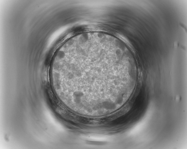 X0000101451439200808041008