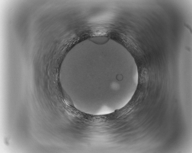 X0000101451441200808041008