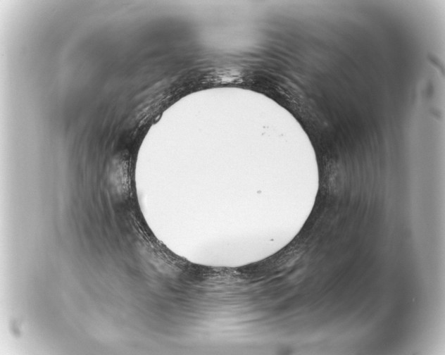 X0000101451442200808041008