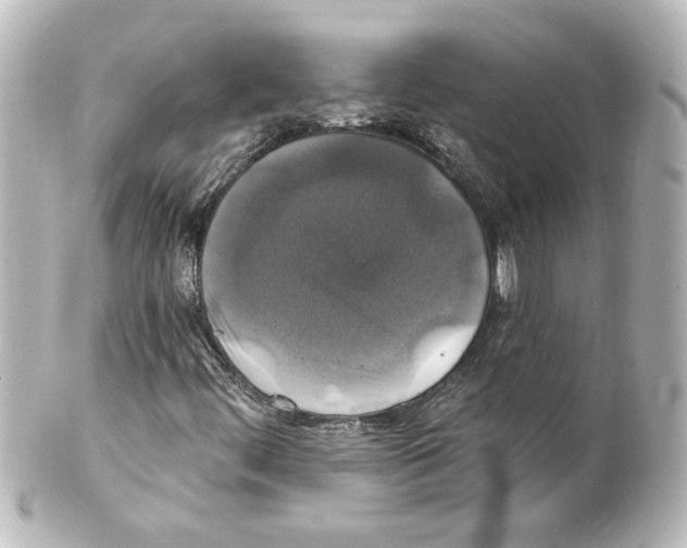 X0000101451444200808041008