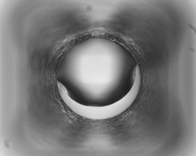 X0000101451445200808041008