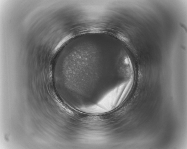 X0000101451450200808041008