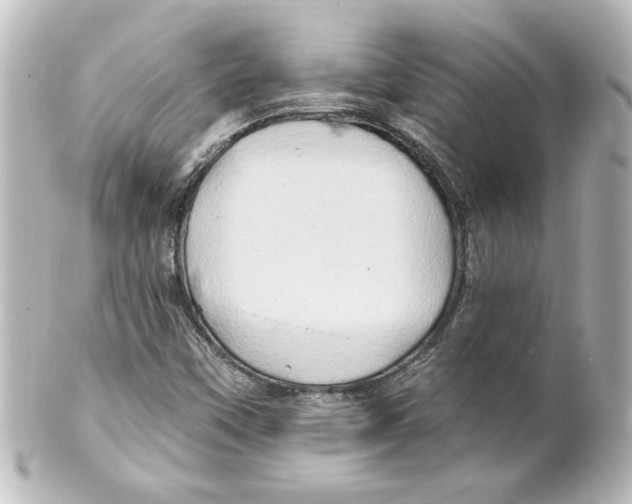 X0000101451451200808041008