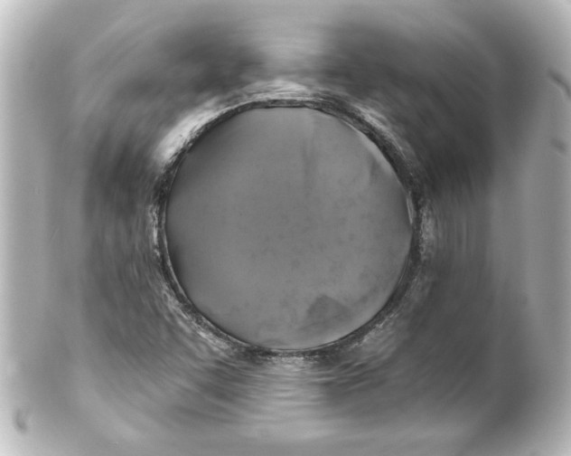 X0000101451455200808041007