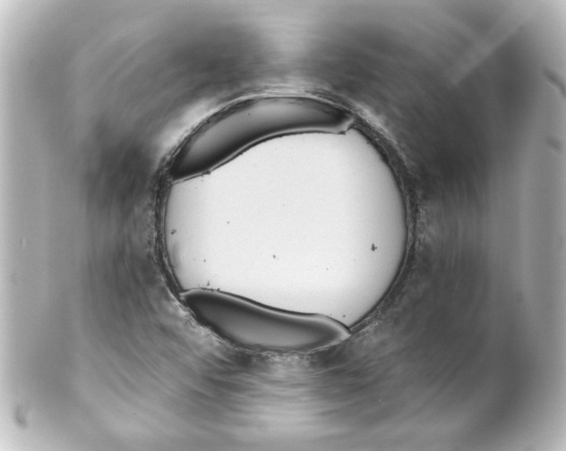 X0000101451456200808041007