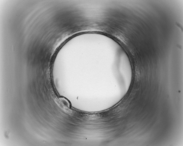 X0000101451460200808041007