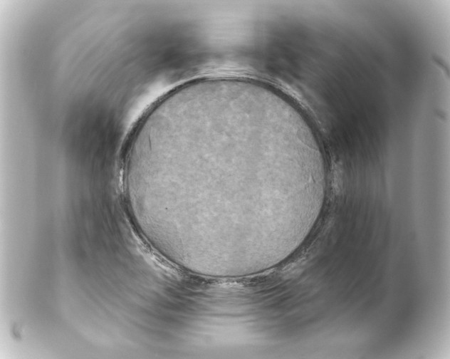 X0000101451462200808041007