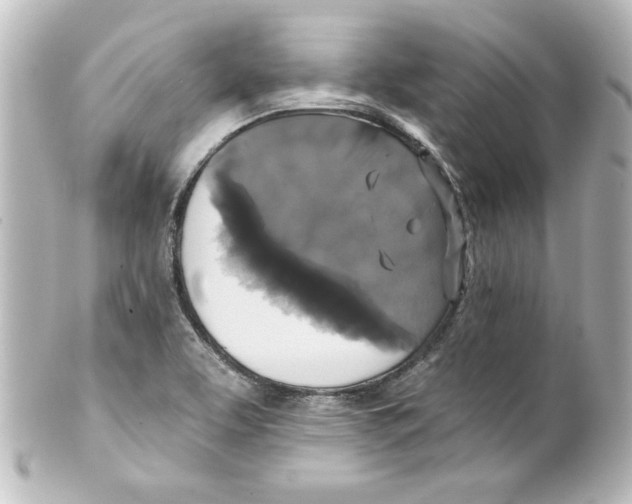 X0000101451463200808041007