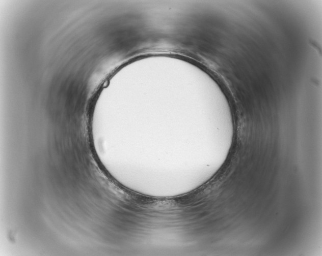 X0000101451464200808041007