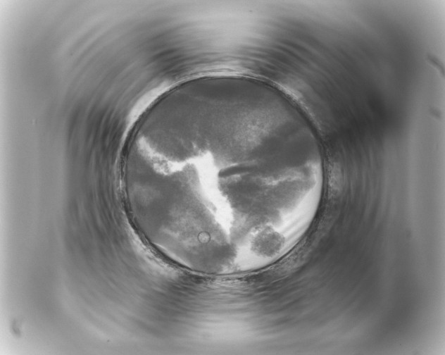 X0000101451466200808041007