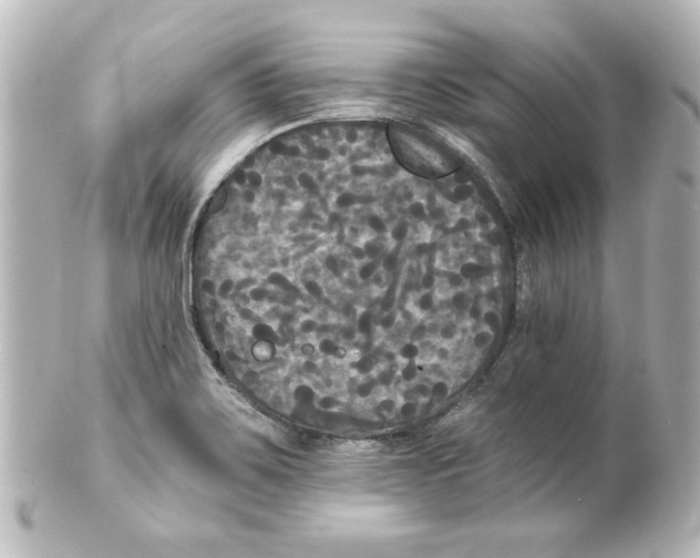 X0000101451467200808041007