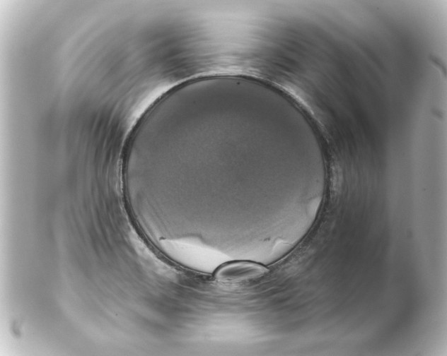 X0000101451468200808041007