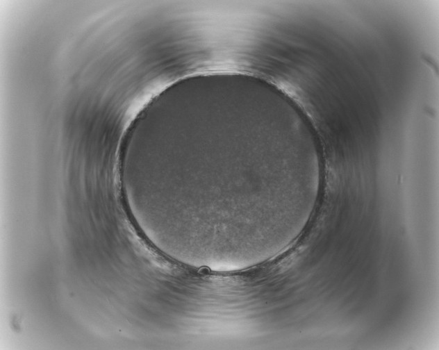 X0000101451469200808041007