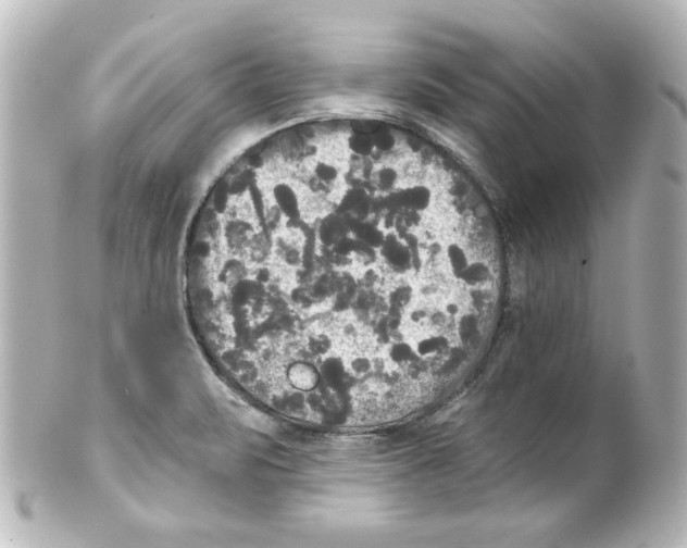 X0000101451471200808041007