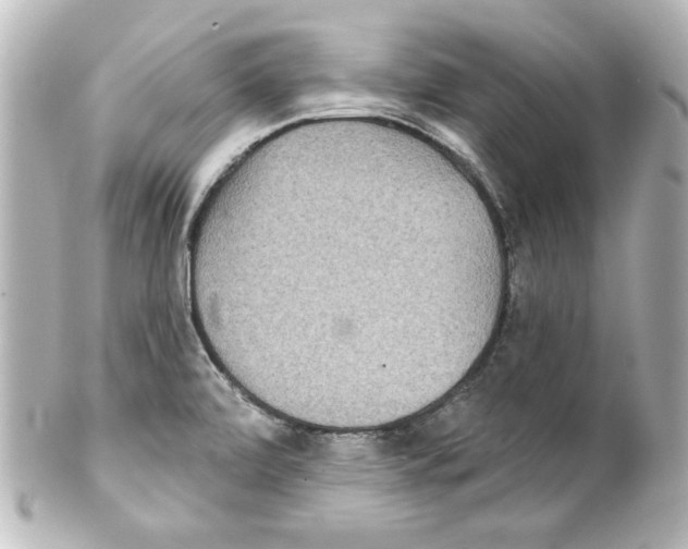 X0000101451472200808041007